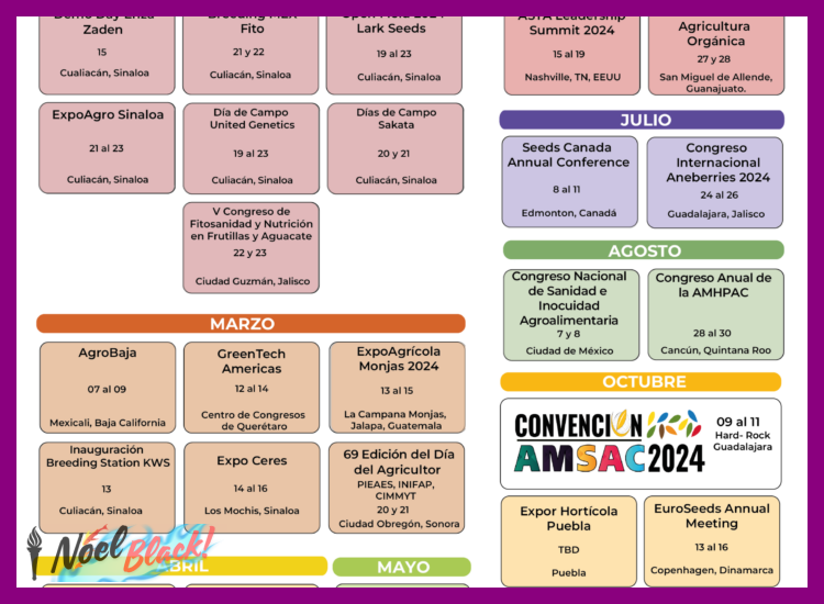 1. Desglose del Calendario de Lanzamiento y Eventos Preliminares