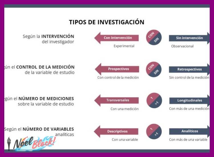1. Investigación y Especialización: Identifica tu División Ideal