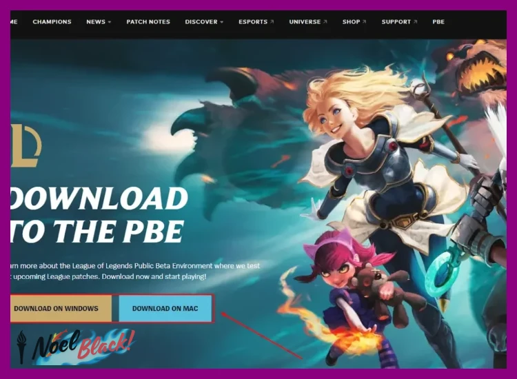 2. Descarga e Instalación del Cliente PBE
