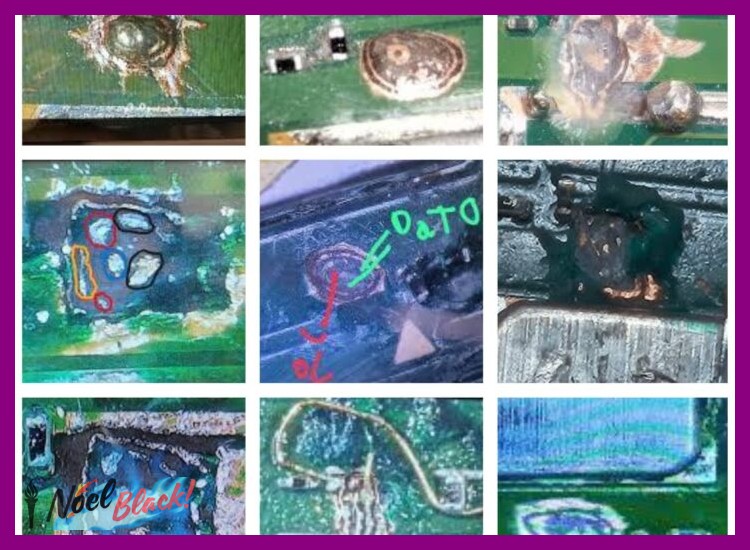 2. Pasos Detallados desde el Sitio Web de Nintendo