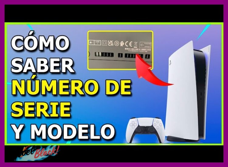 5. ¿Por qué es importante conocer el modelo exacto de tu consola?