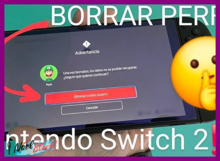 Diferencia Entre Borrar Perfil y Desvincular Cuenta de Nintendo