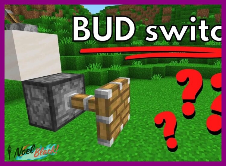 ¿En qué consistía el 'BUD switch' o interruptor por actualización de bloque?