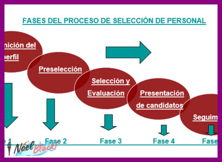 ¿En qué etapas consiste y cómo se desarrolla el proceso de selección de candidatos en Sony?